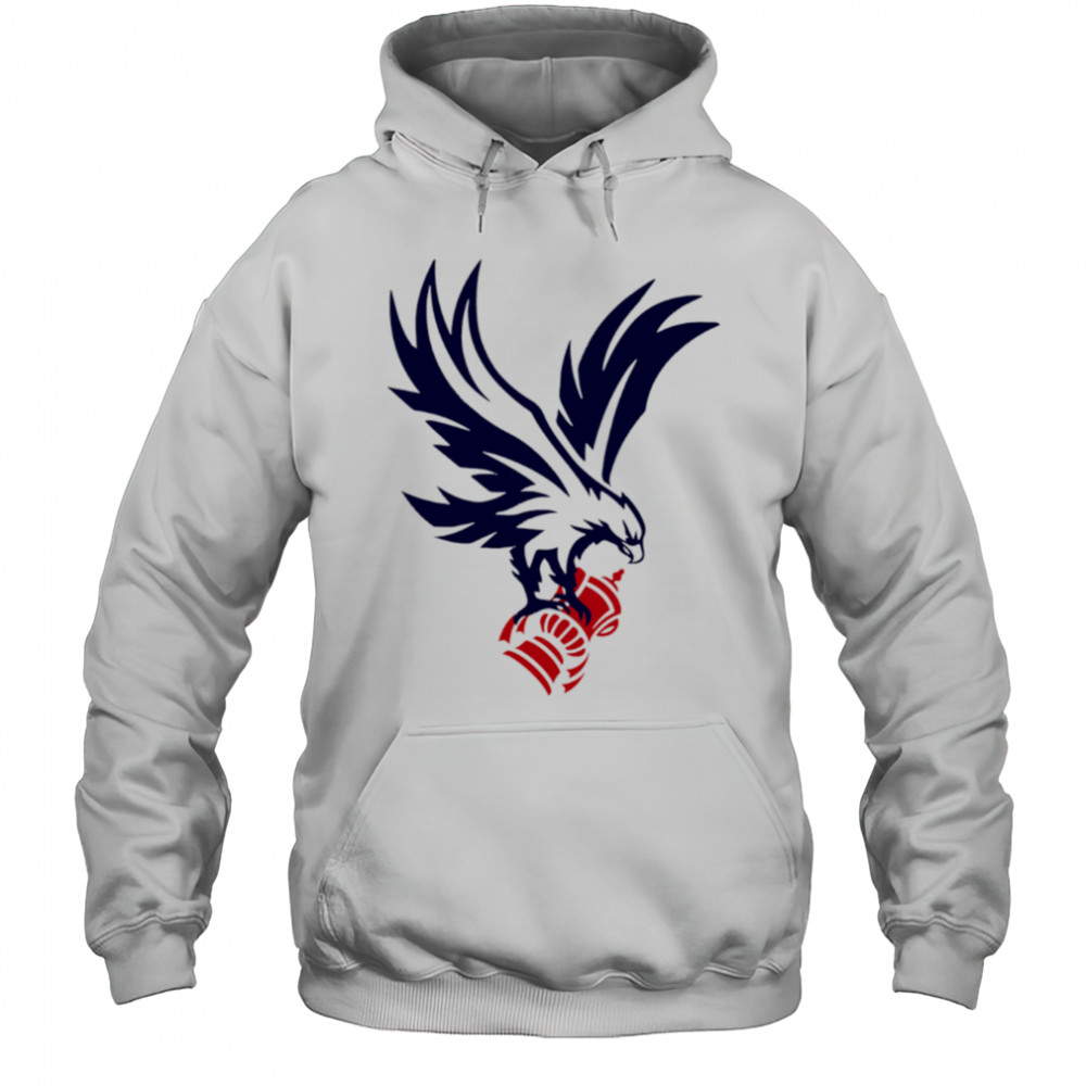 Crystal Palace F.C. Cup winner 2025 shirt Hoodie