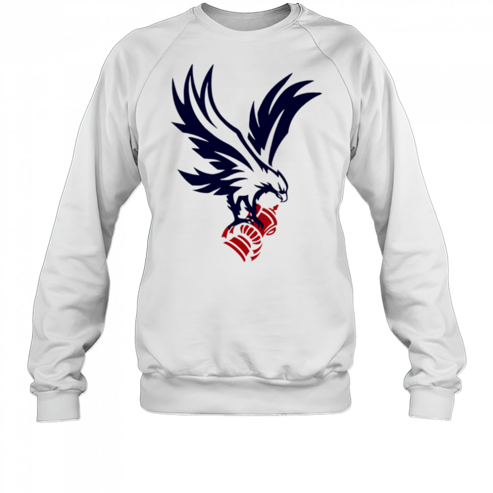 Crystal Palace F.C. Cup winner 2025 shirt Sweatshirt