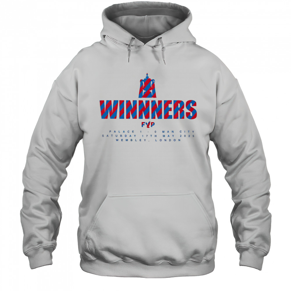 Five Year Plan winners Crystal Palace shirt Hoodie