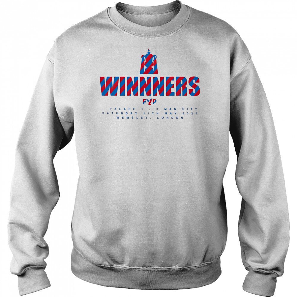 Five Year Plan winners Crystal Palace shirt Hoodie