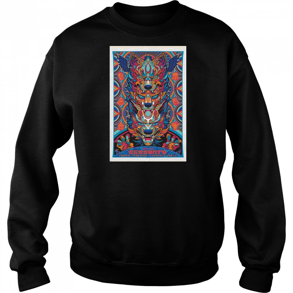 Sessanta Primus Puscifer A Perfect Circle Petersen Events Center Pittsburgh PA May 20 2025 Tour t-shirt Hoodie