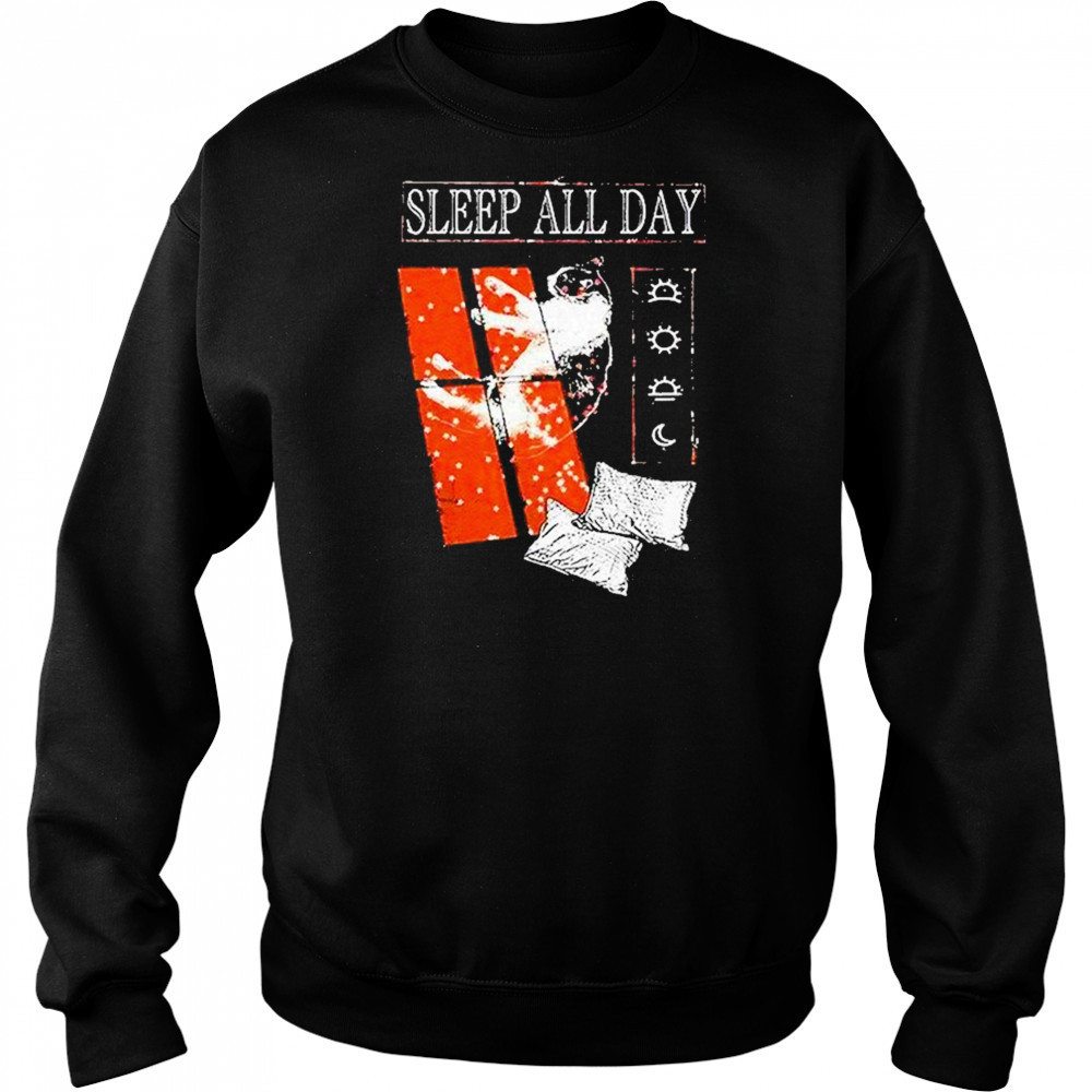 Sleep All Day Take A Cat Nap Shirt Hoodie