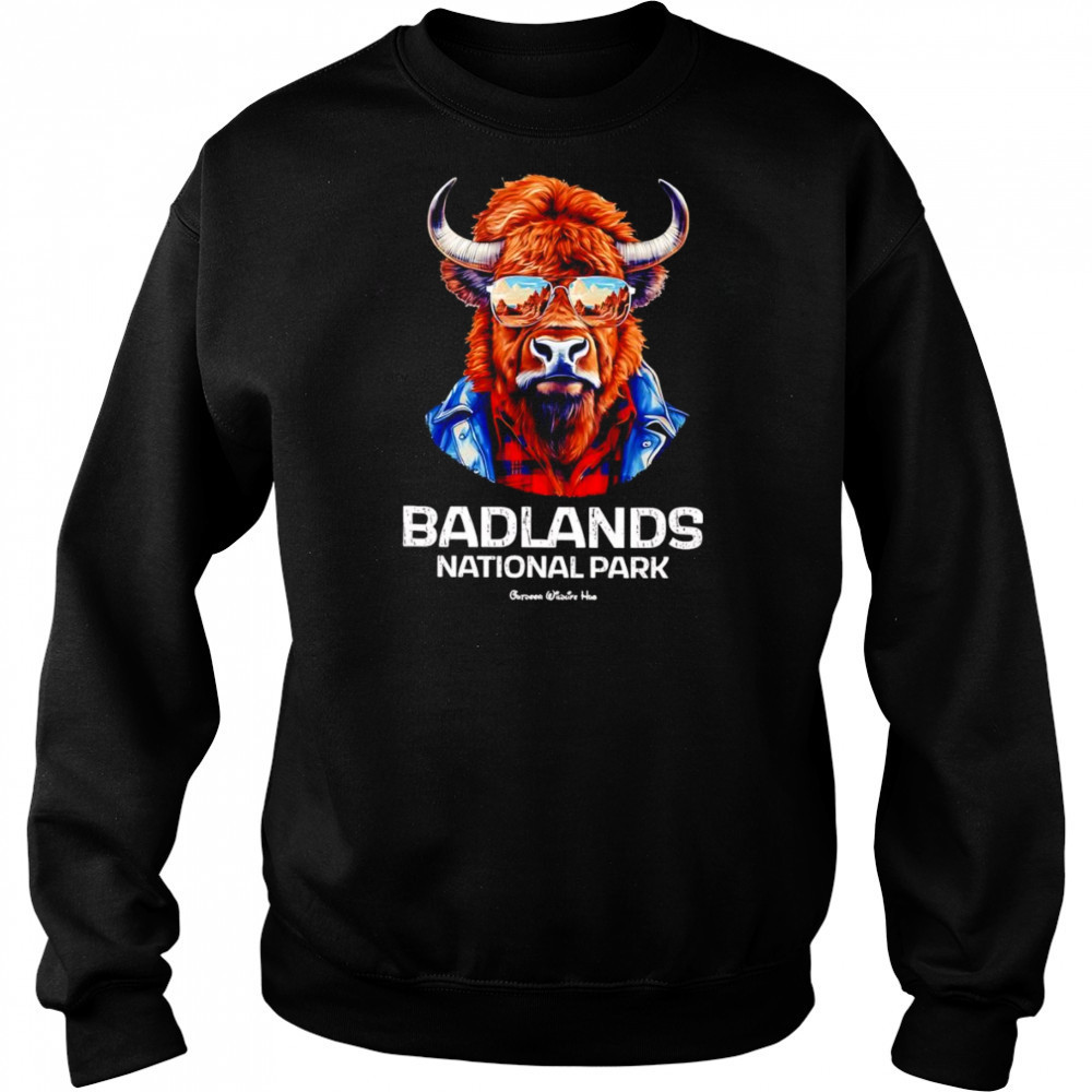 Badlands National Park shirt Hoodie