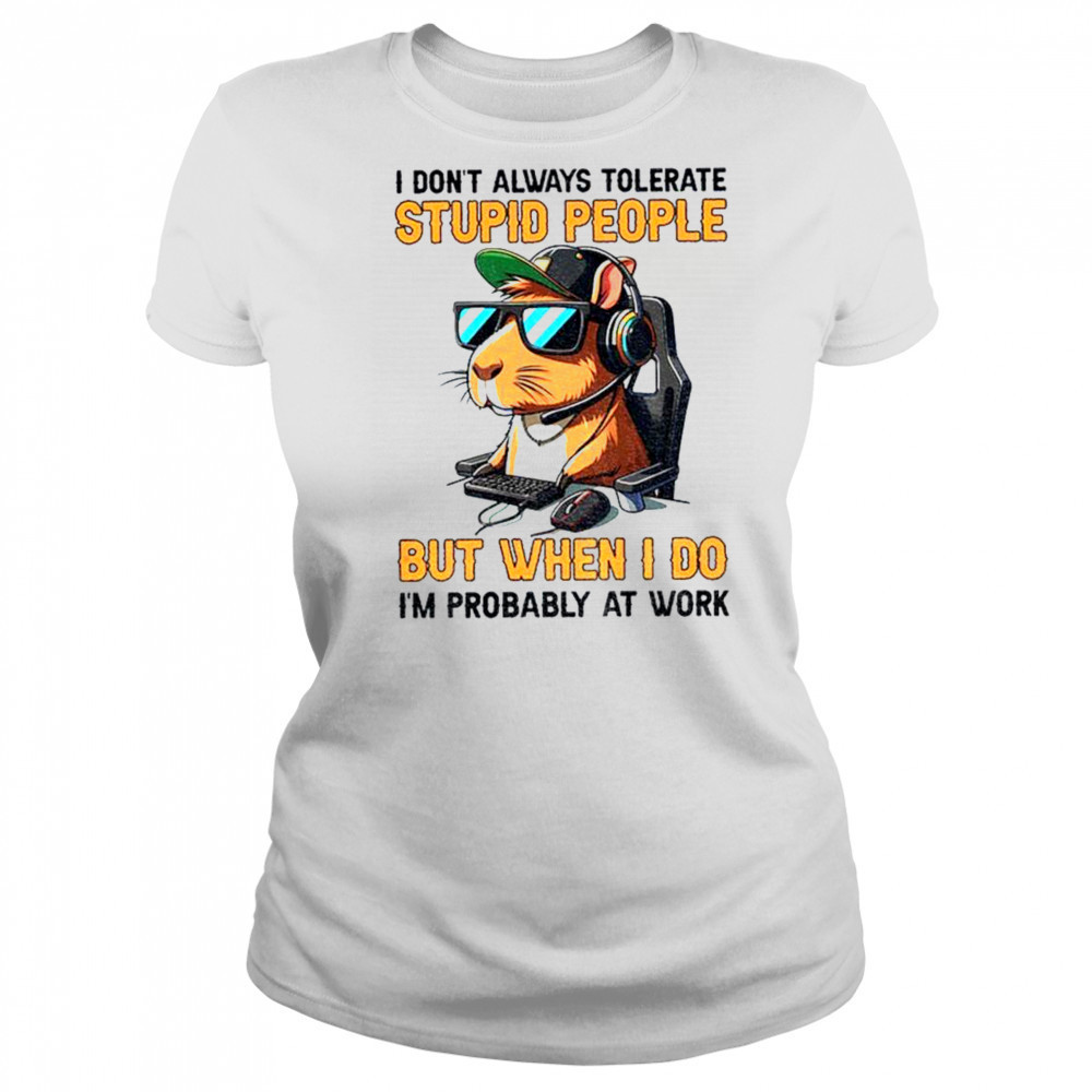 Capybara I don’t always tolerate stupid people but when I do I’m probably at work shirt Women's T-shirt