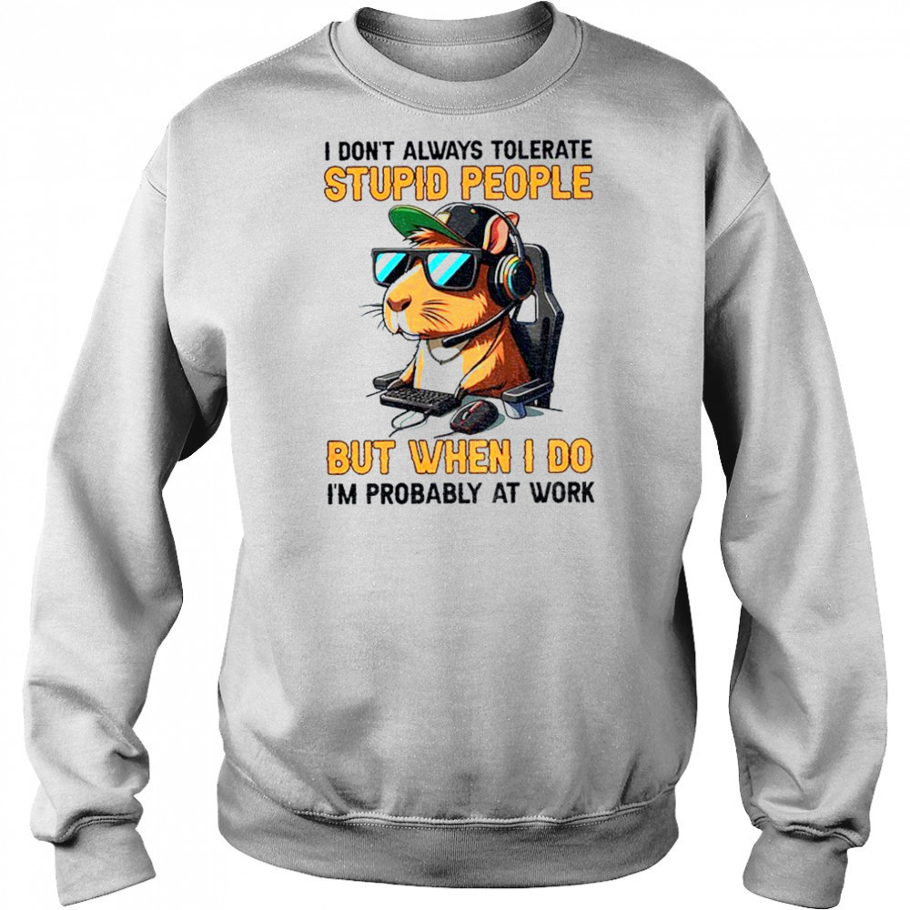 Capybara I don’t always tolerate stupid people but when I do I’m probably at work shirt Hoodie