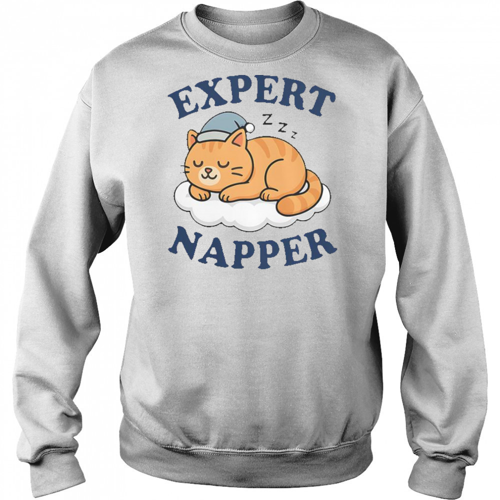 Cat Expert Napper Kitty Sarcasm Humor Cat Saying T-Shirt Hoodie