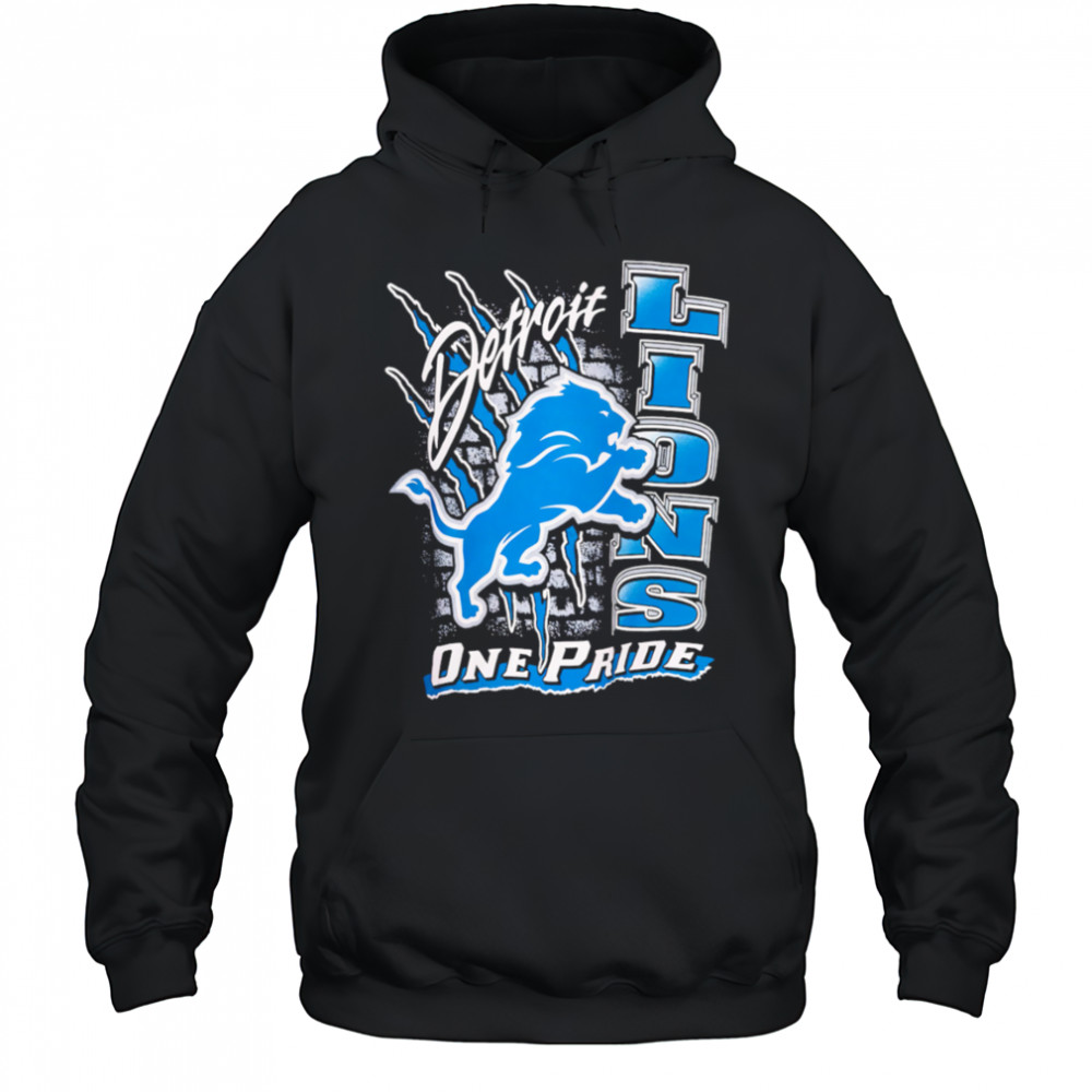 Detroit Lions One Pride Vintage shirt Hoodie