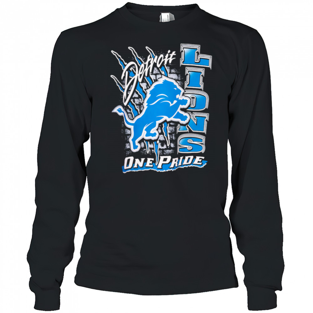 Detroit Lions One Pride Vintage shirt Long Sleeved