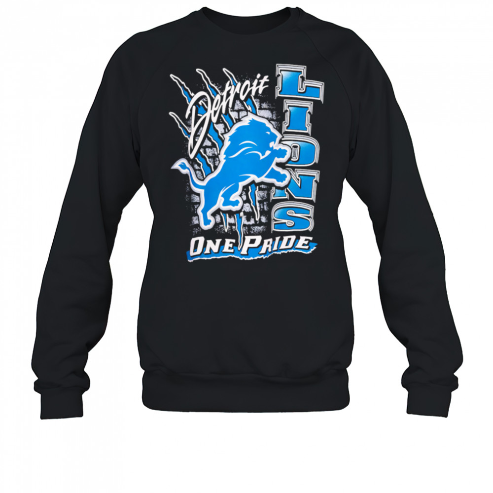 Detroit Lions One Pride Vintage shirt Sweatshirt