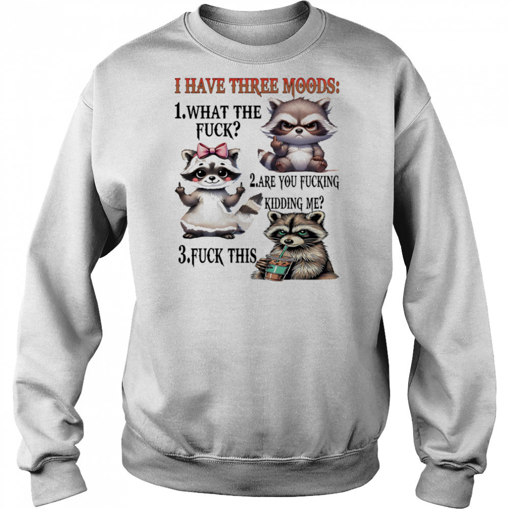 Raccoon I have three moods what the fuck are you fucking kidding me fuck this shirt Hoodie
