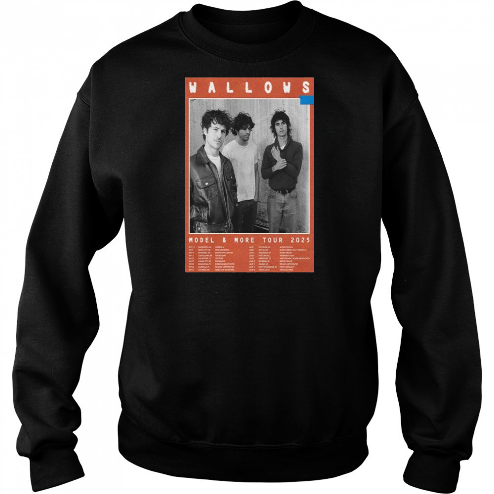 Wallows Model & More Tour 2025 t-shirt Hoodie