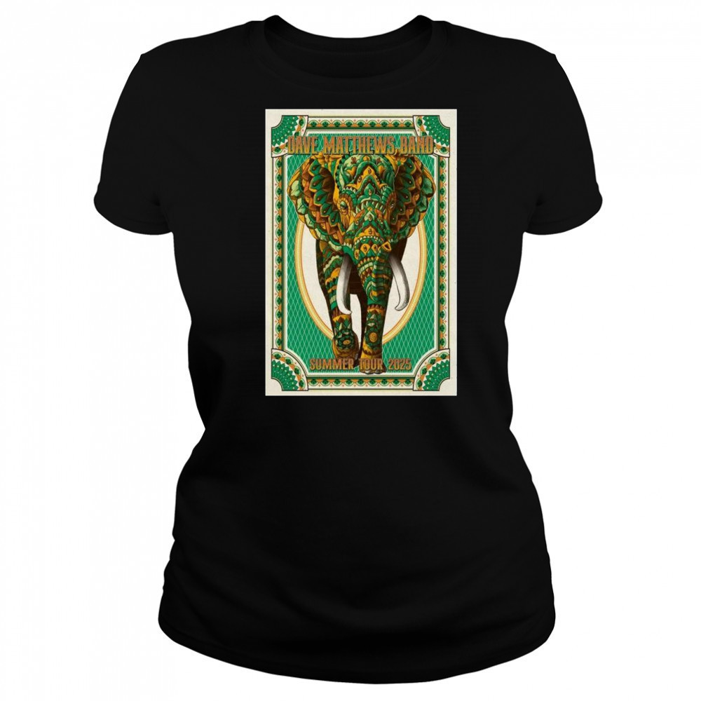 Dave Matthews Band Summer Tour 2025 t-shirt Women's T-shirt