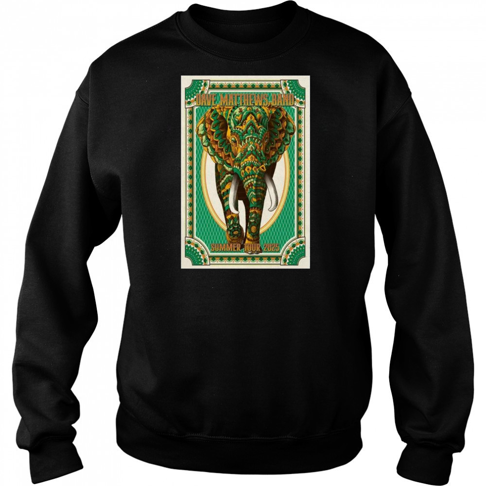Dave Matthews Band Summer Tour 2025 t-shirt Hoodie