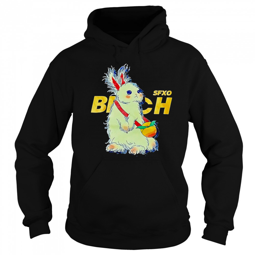 Sfxo Brich Rabbit shirt Sweatshirt