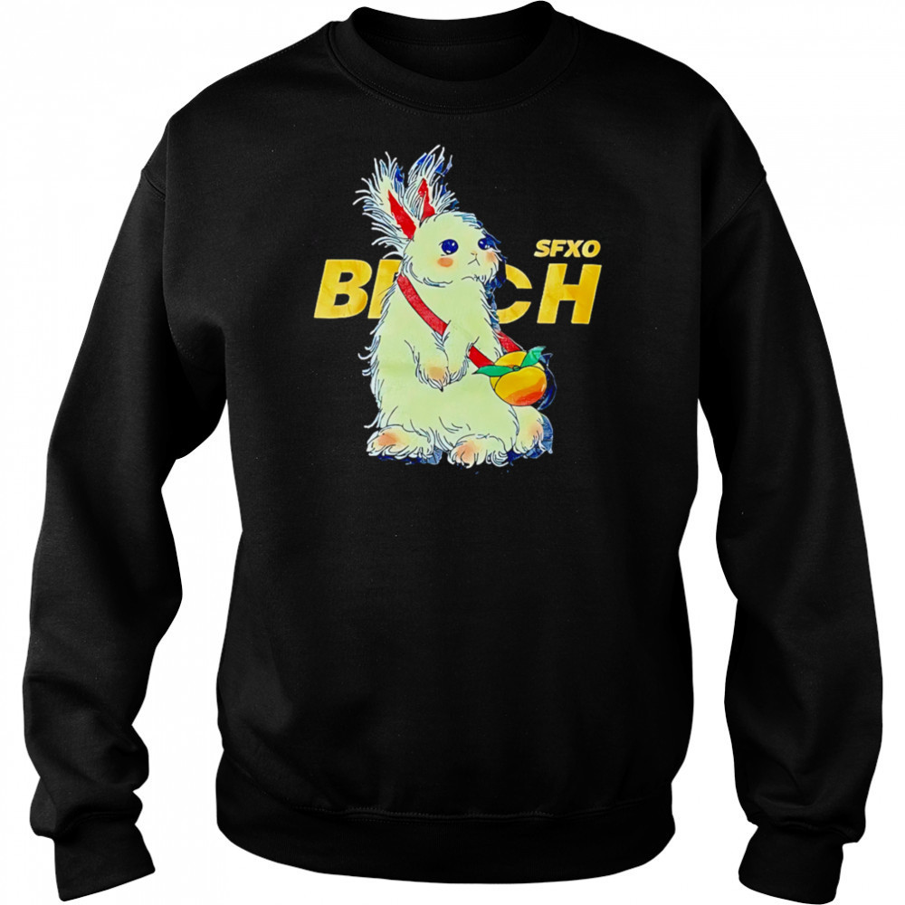 Sfxo Brich Rabbit shirt Hoodie