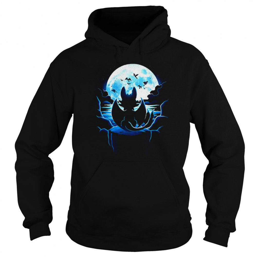 Toothless How to Train Your Dragon Dragon Land shirt Sweatshirt