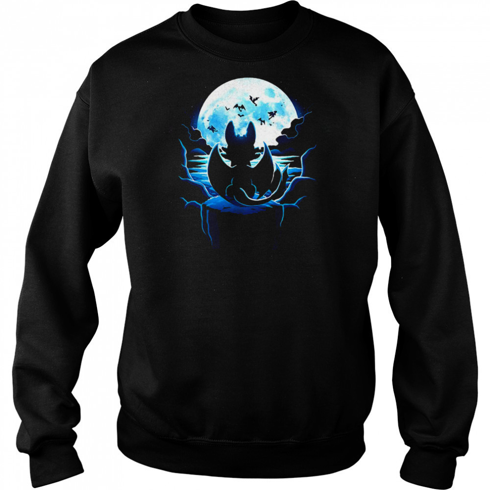 Toothless How to Train Your Dragon Dragon Land shirt Hoodie