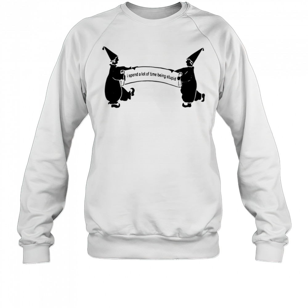 I Spend A Lot Of Time Being Stupid shirt Sweatshirt