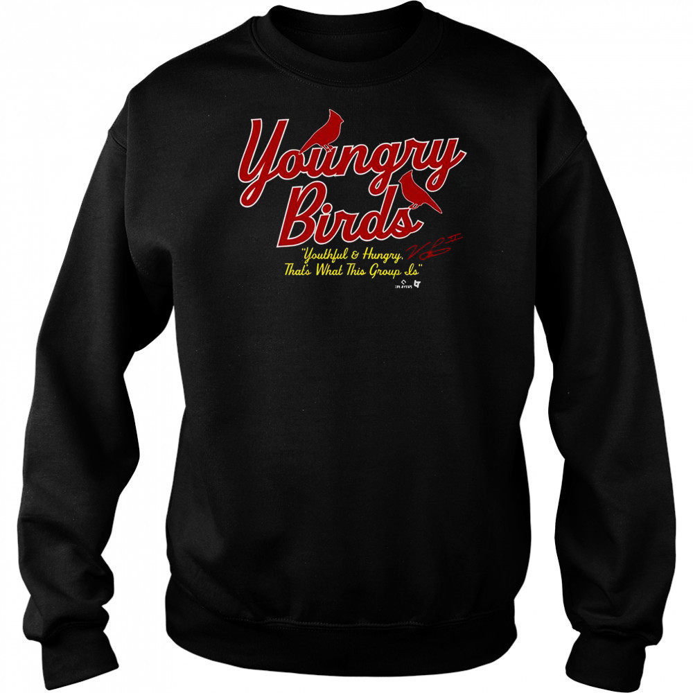 St. Louis Baseball Youngry Birds T-Shirt Hoodie