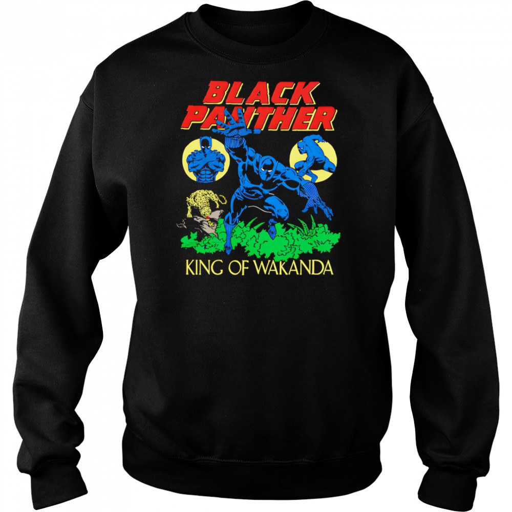 Black Panther The King Of Wakanda superhero shirt Hoodie