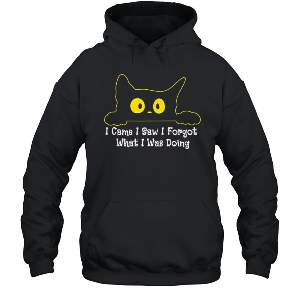 Cat I came I saw I forgot what I was doing shirt Hoodie