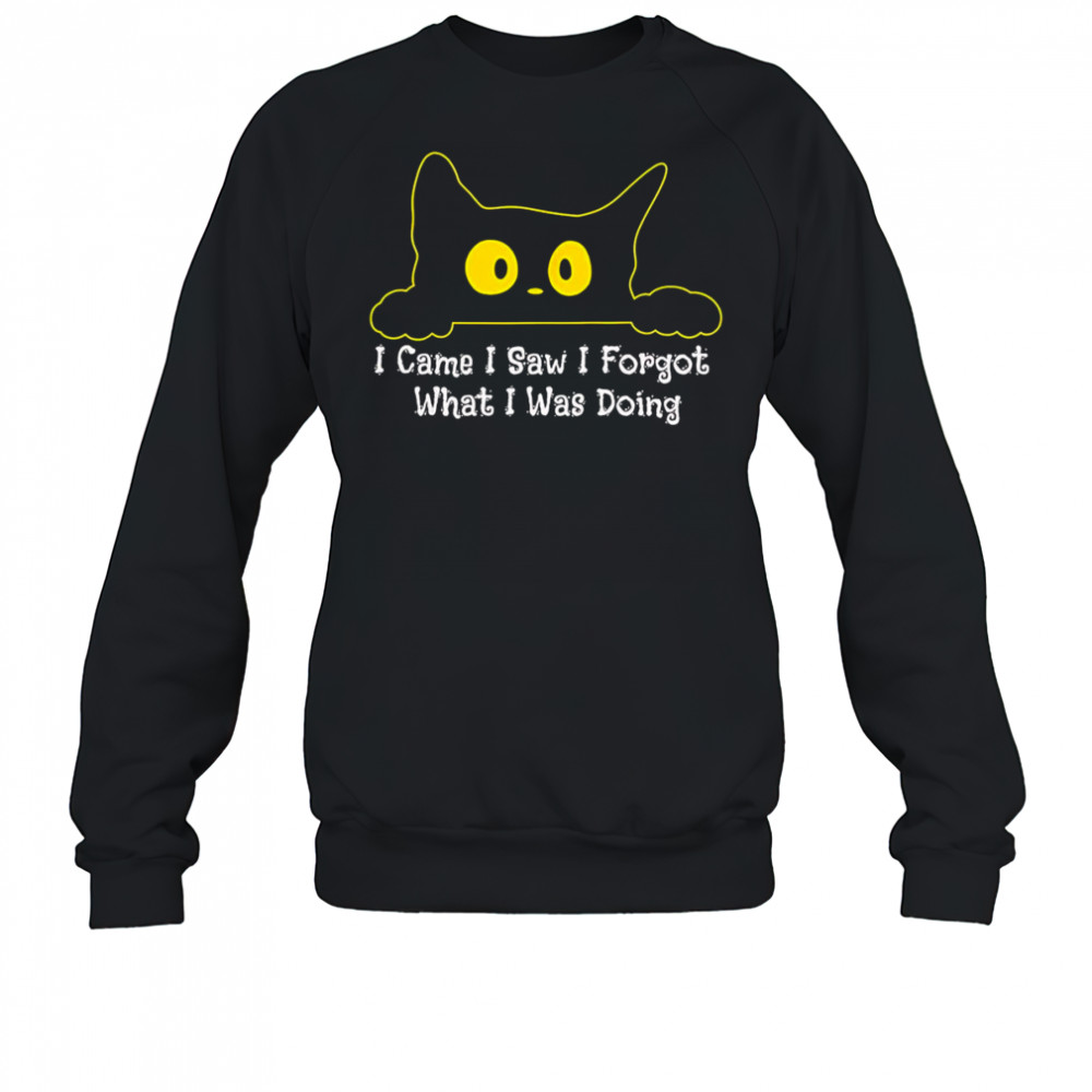 Cat I came I saw I forgot what I was doing shirt Sweatshirt