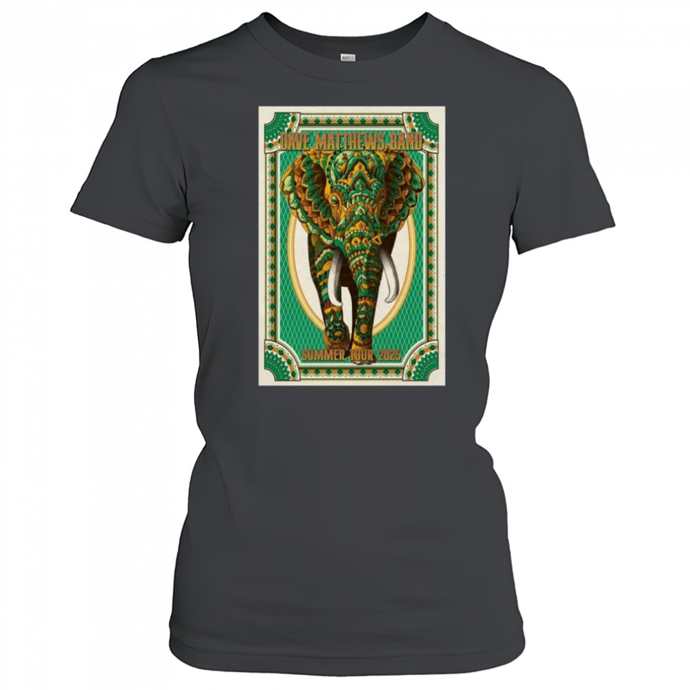 Dave Matthews Band Summer Tour 2025 t-shirt Women's T-shirt