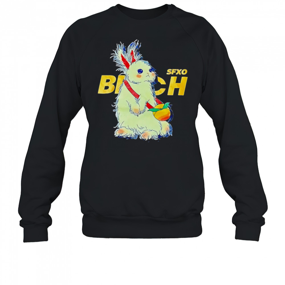 Sfxo Brich Rabbit shirt Sweatshirt
