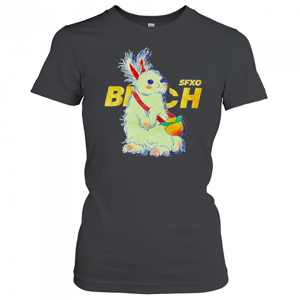 Sfxo Brich Rabbit shirt Women's T-shirt