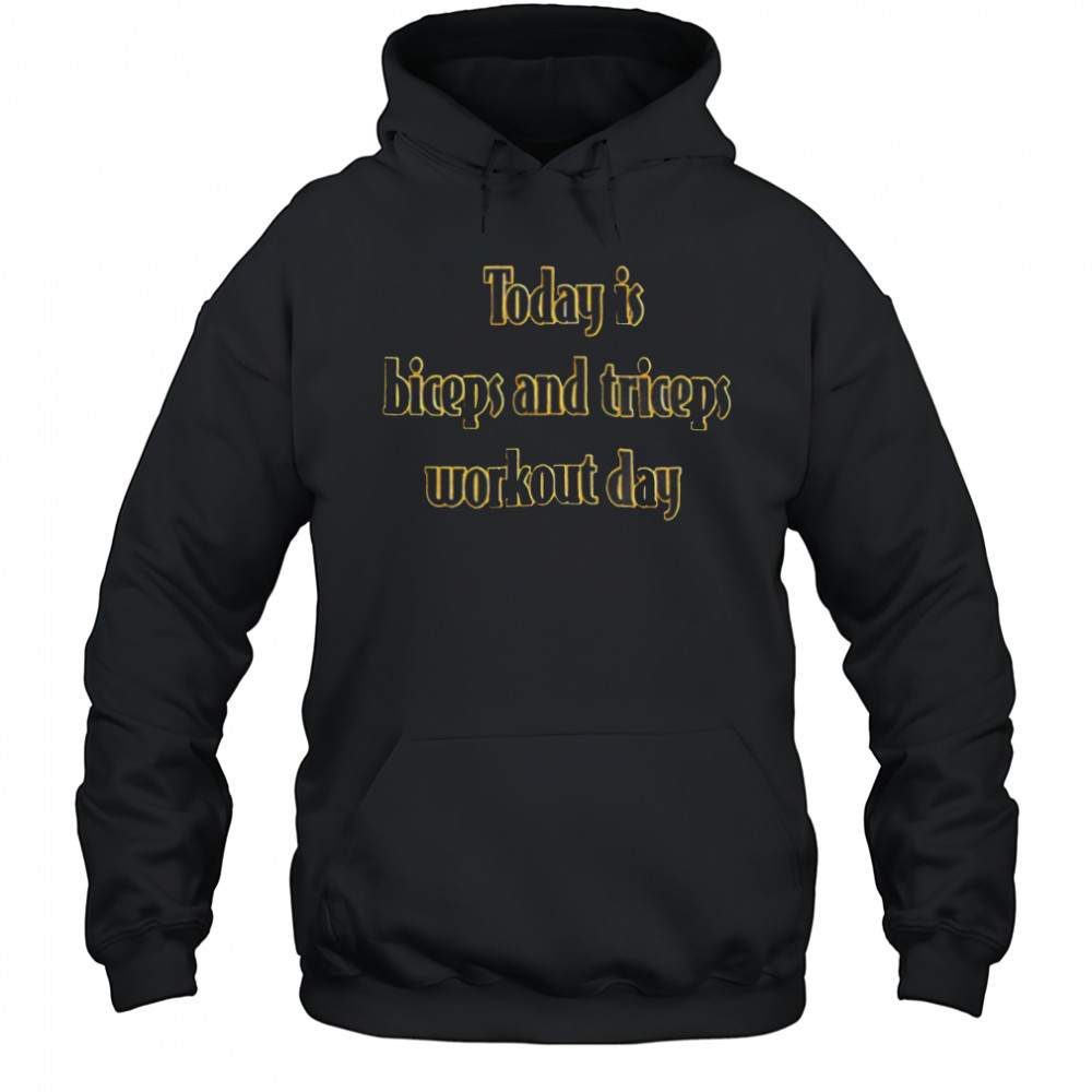 Today is biceps and triceps workout day shirt Hoodie