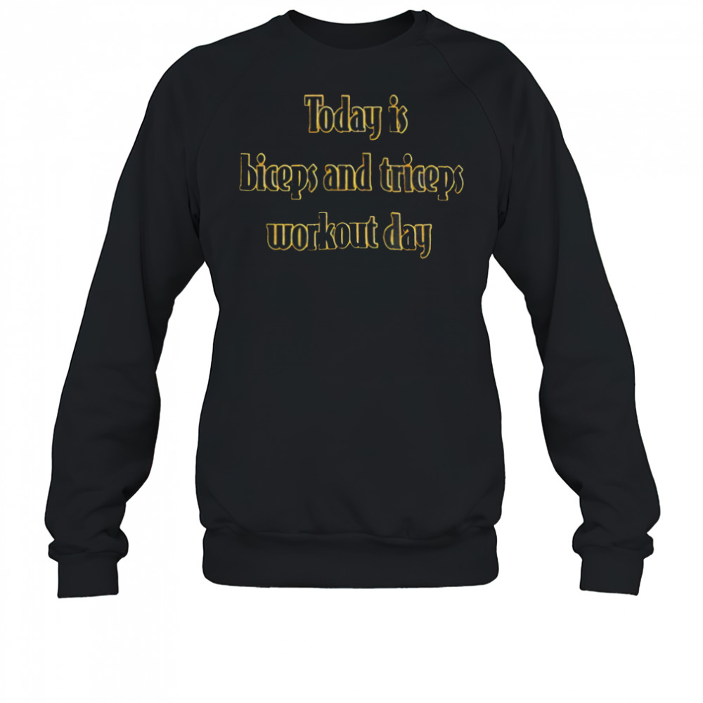 Today is biceps and triceps workout day shirt Sweatshirt