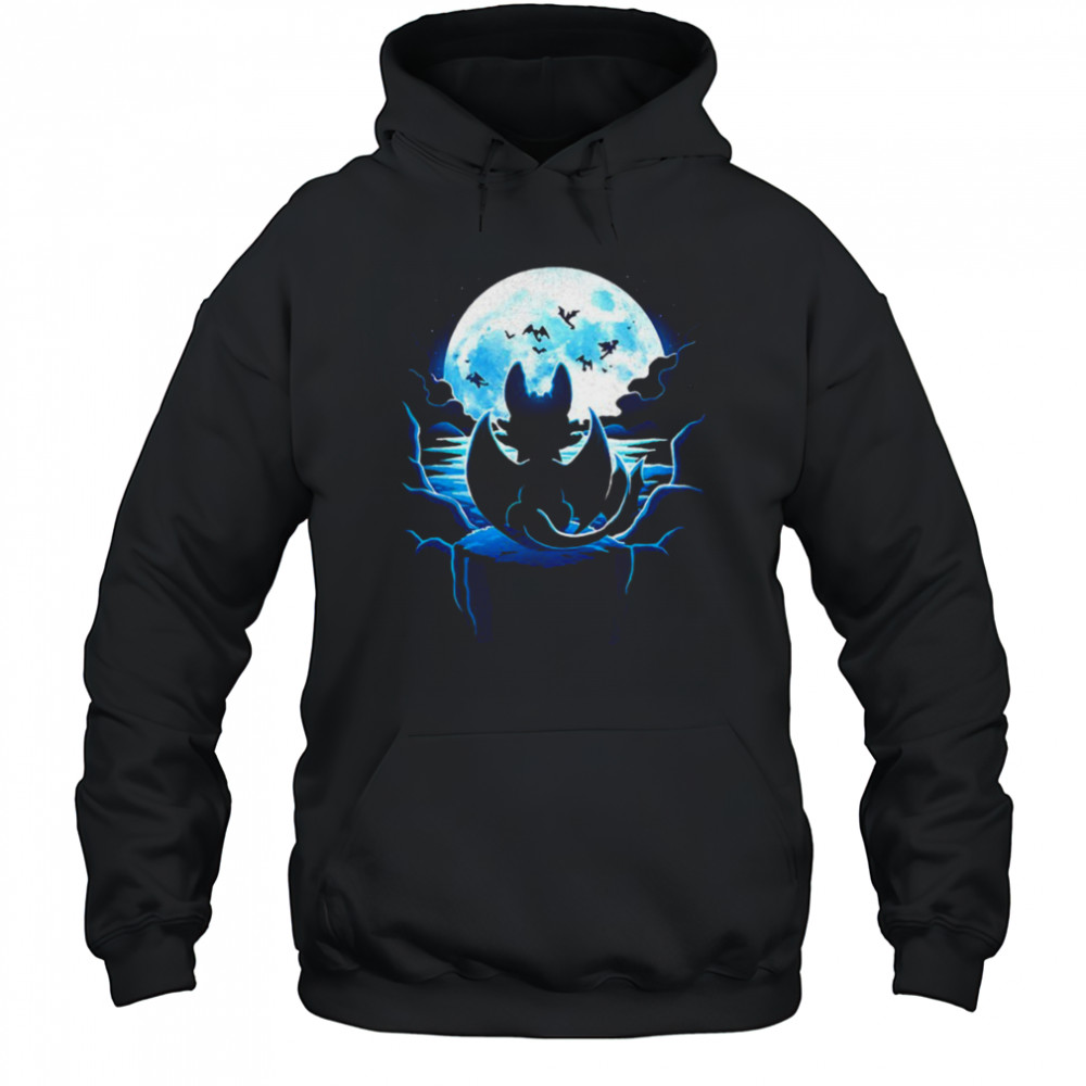 Toothless How to Train Your Dragon Dragon Land shirt Hoodie
