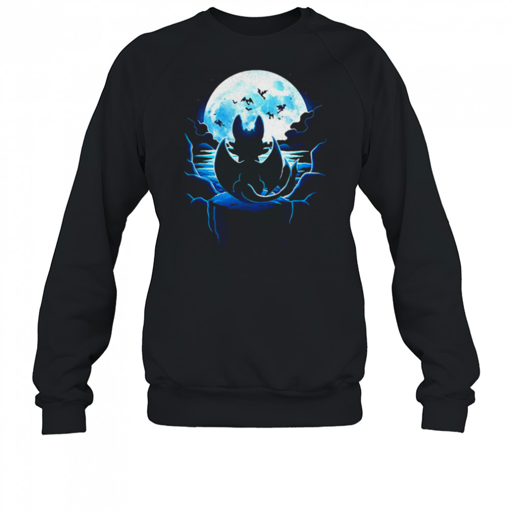 Toothless How to Train Your Dragon Dragon Land shirt Sweatshirt