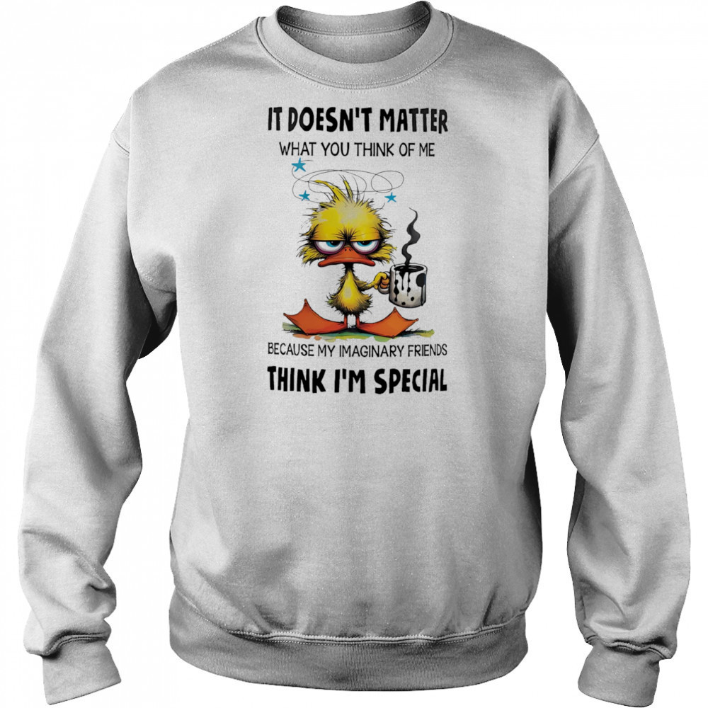 Duck it doesn’t matter what you think of me shirt Hoodie