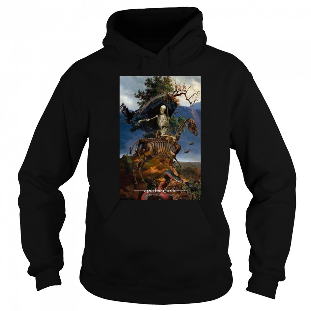 A Perfect Circle Xcel Energy Center Saint Paul MN June 1 2025 Shirt Sweatshirt