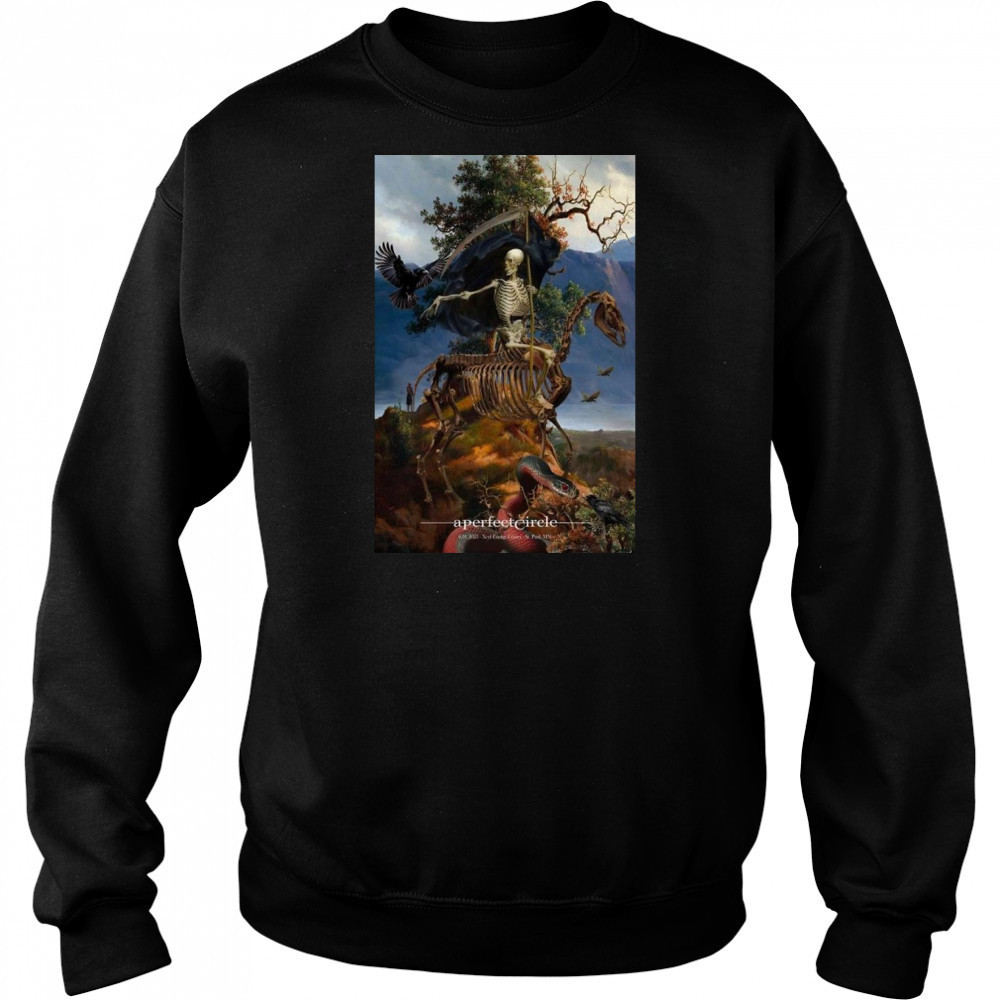 A Perfect Circle Xcel Energy Center Saint Paul MN June 1 2025 Shirt Hoodie