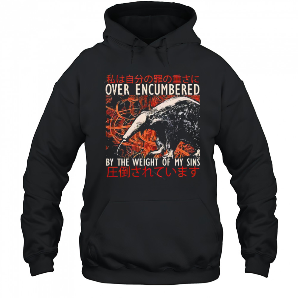 Over encumbered by the weight of my sins shirt Hoodie