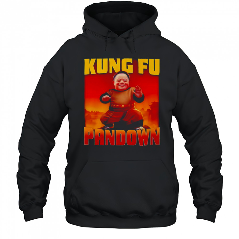 Kung Fu Pandown shirt Hoodie