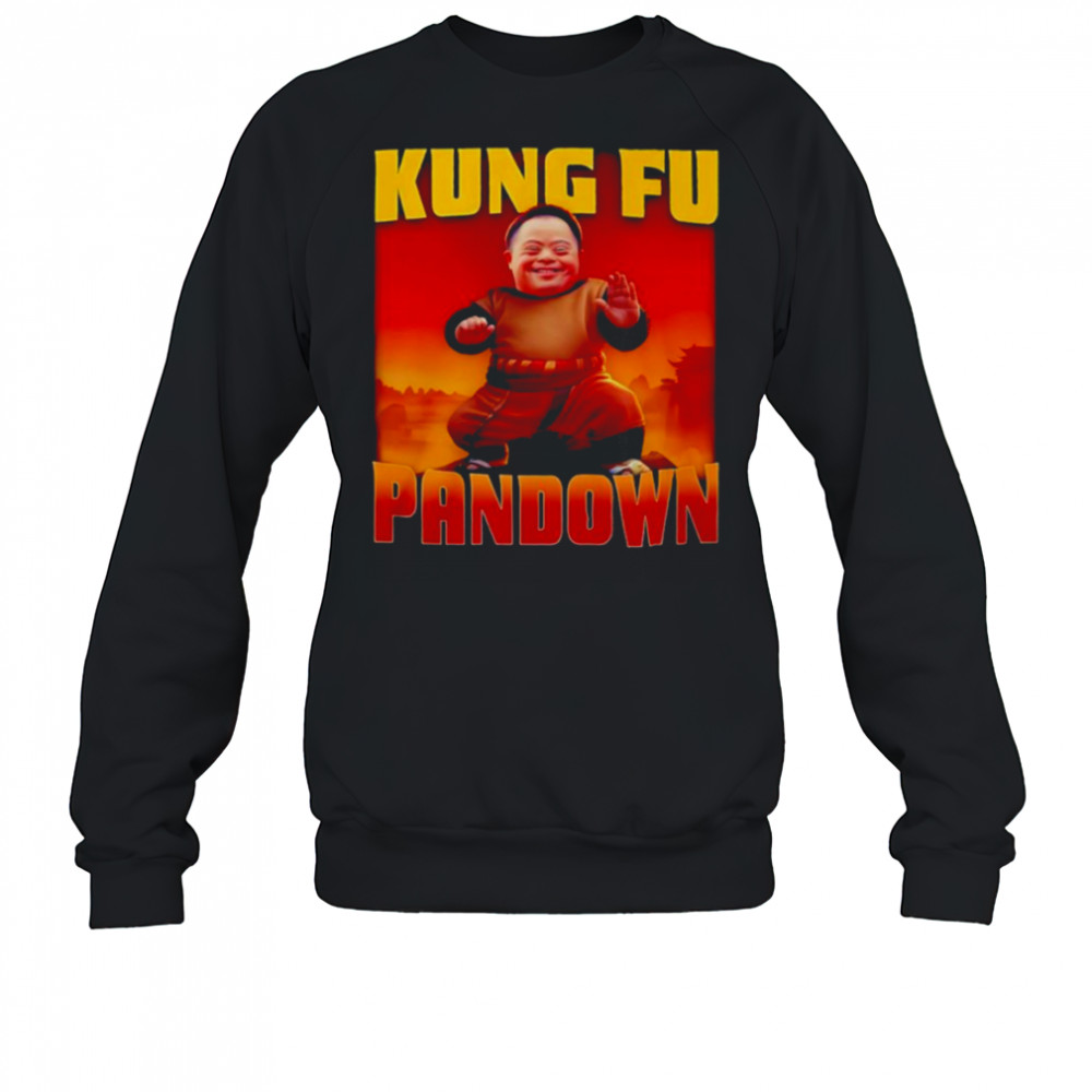 Kung Fu Pandown shirt Sweatshirt