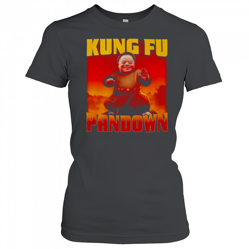 Kung Fu Pandown shirt Women's T-shirt