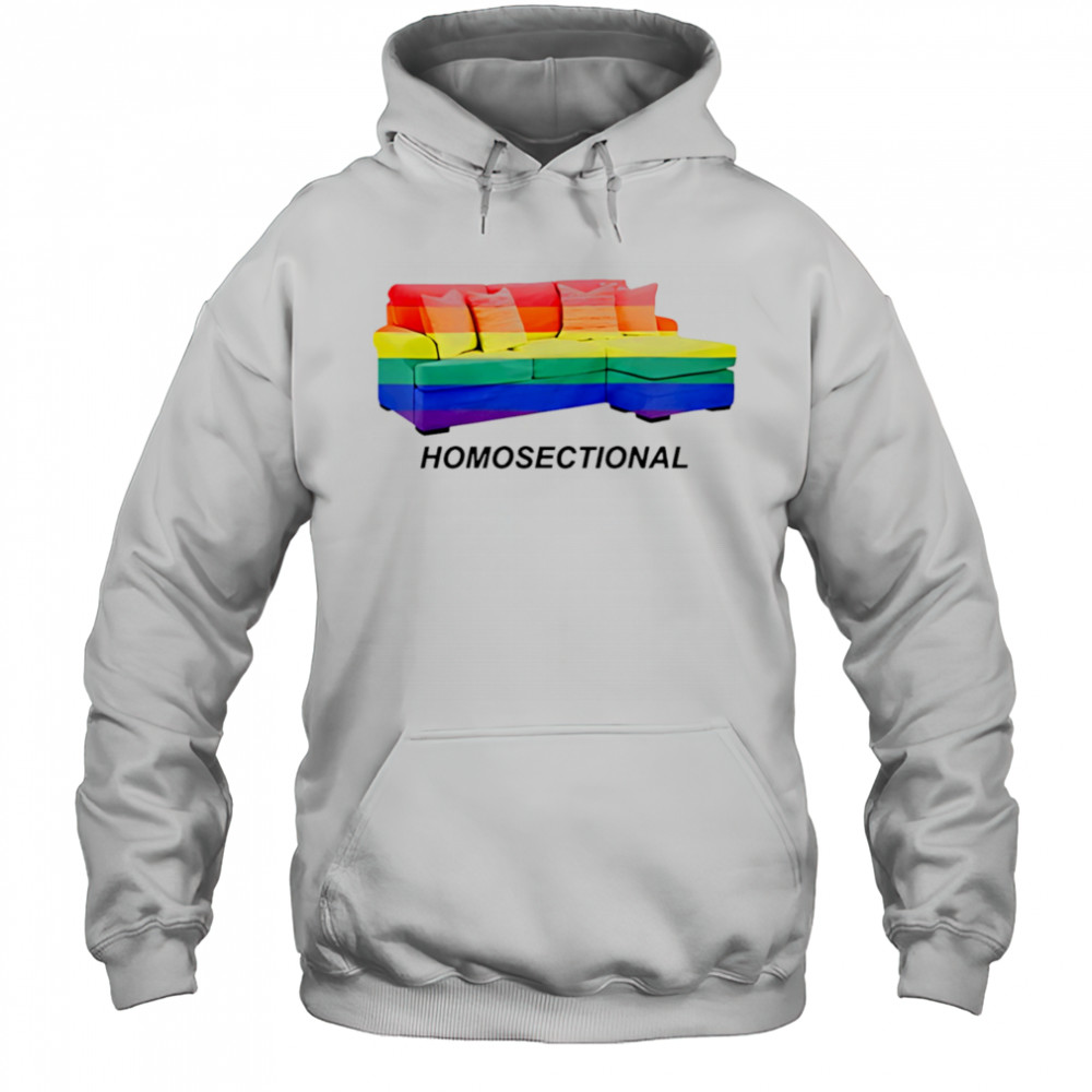 LGBT Homosectional shirt Hoodie