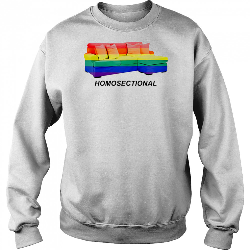 LGBT Homosectional shirt Hoodie