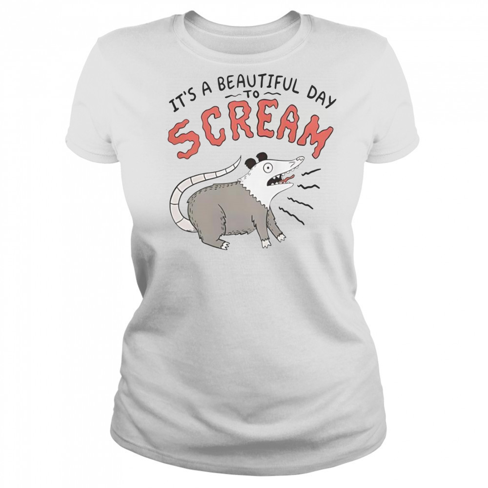 Screaming Possum It’s A Beautiful Day T-Shirt Women's T-shirt