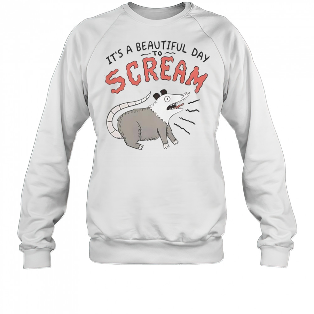 Screaming Possum It’s A Beautiful Day T-Shirt Sweatshirt