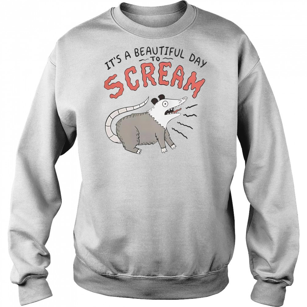 Screaming Possum It’s A Beautiful Day T-Shirt Hoodie
