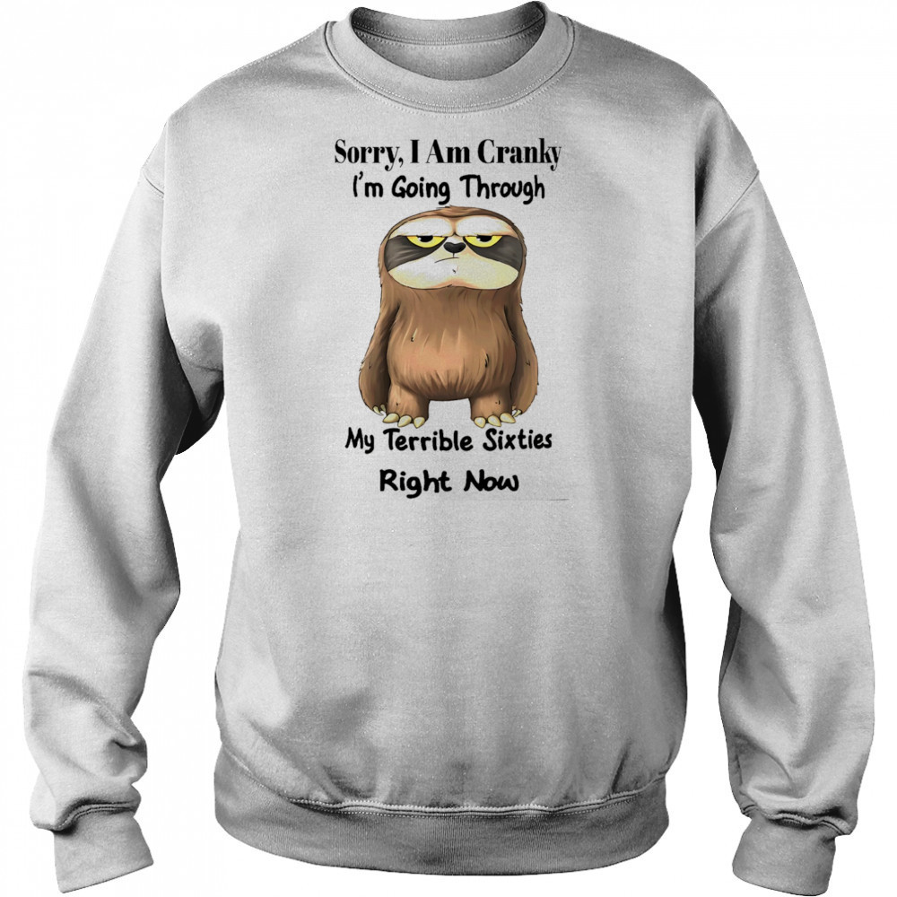 Sloth sorry I am cranky I’m going through my terrible sixties right now shirt Hoodie