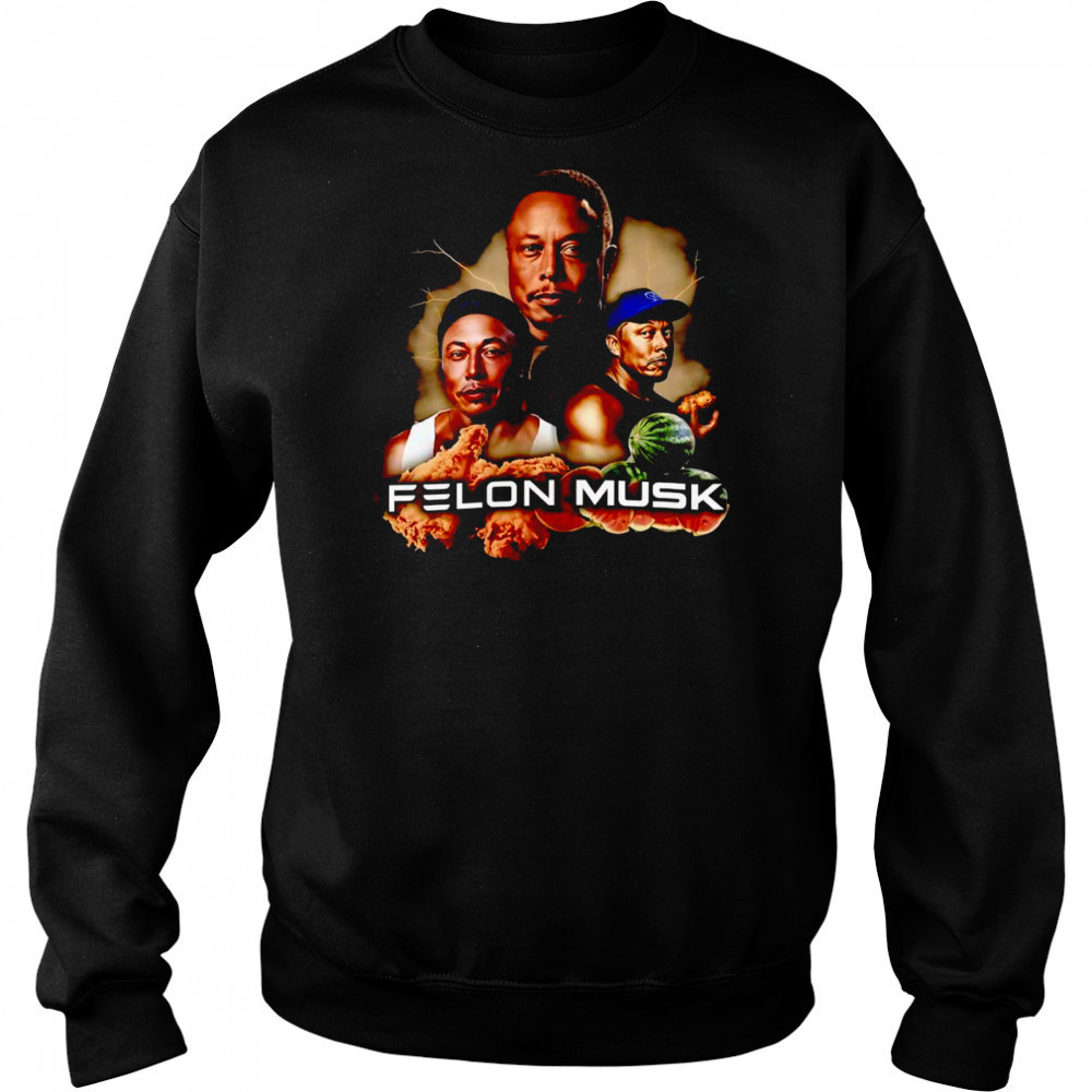 Felon Musk funny shirt Hoodie