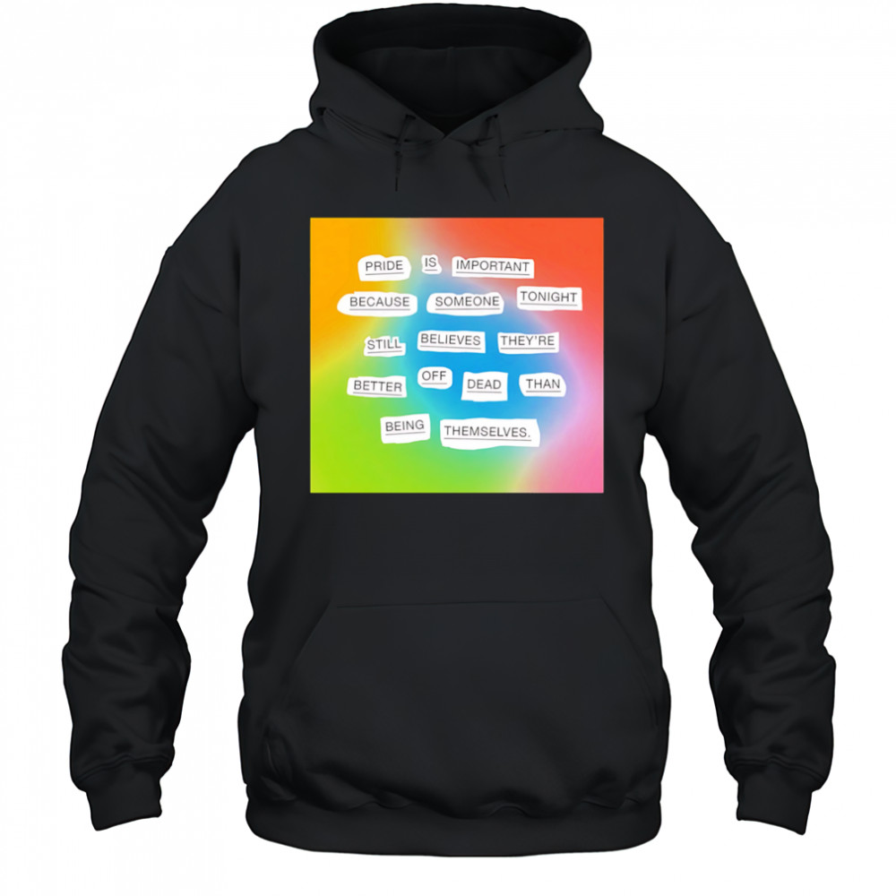 Importance of pride shirt Hoodie