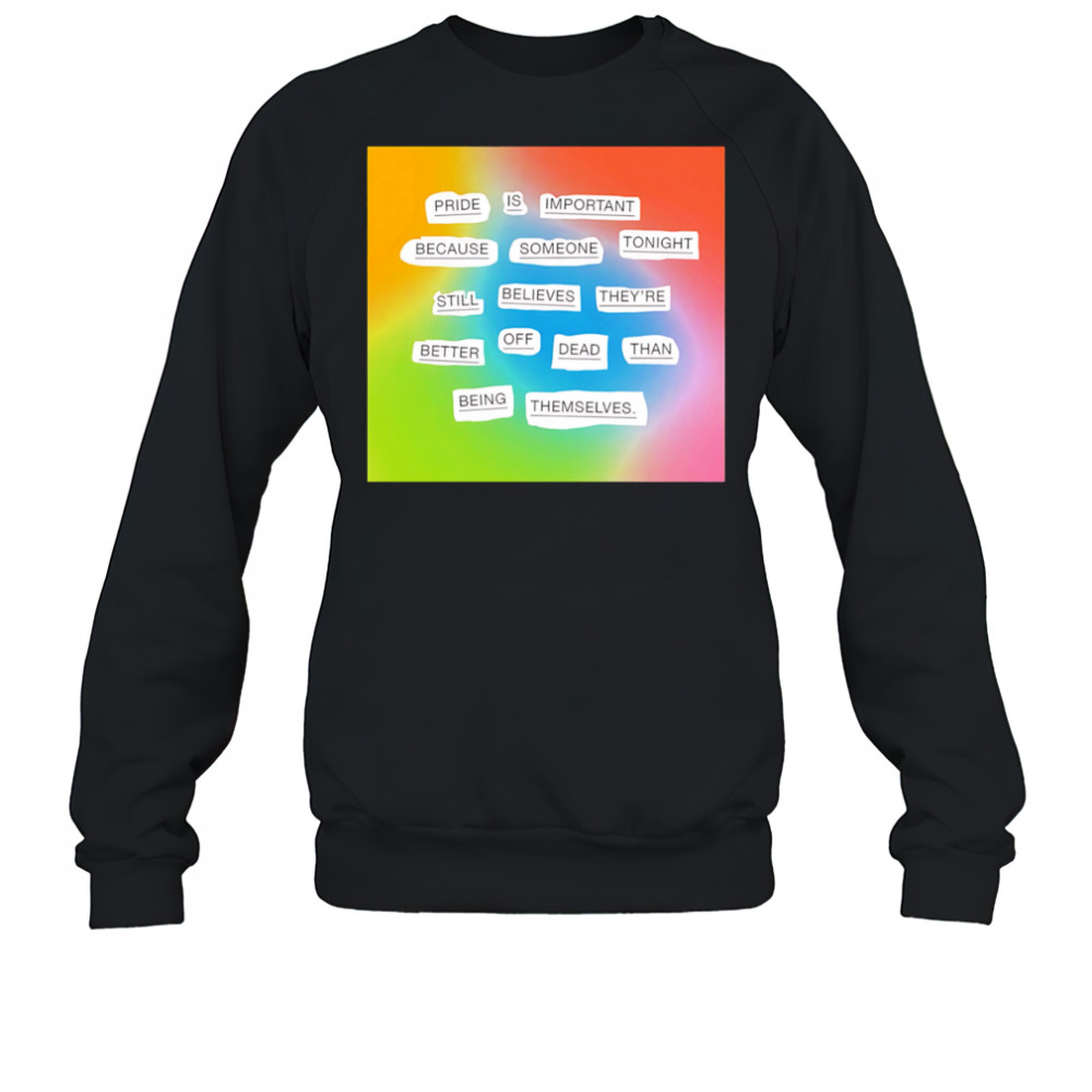 Importance of pride shirt Sweatshirt