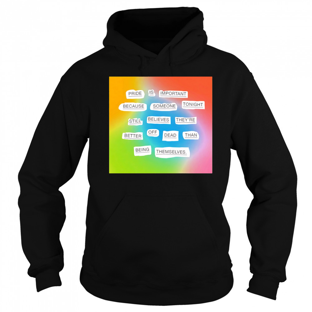 Importance of pride shirt Sweatshirt